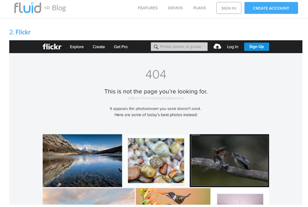 Creating interactive 404s - Add popular landing pages to encourage engagement